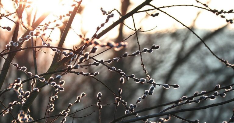 Прогноз погоди на Великдень 2026: Тепло, але з дощами