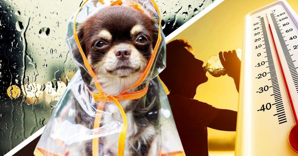 Україну накриє нова хвиля заморозків і холоднечі: синоптик назвав дату ще одного удару стихії