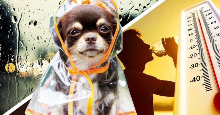 Україну чекають температурні гойдалки: від заморозків до +20° – прогноз погоди