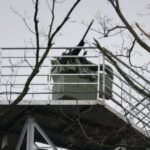 В Україні запрацювала приватна система ППО з дистанційними кулеметами для захисту від дронів