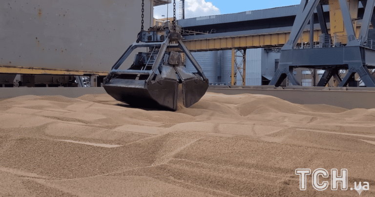 Украдене українське зерно: хто купує врожай, вивезений Росією? Розкриття деталей від МЗС України