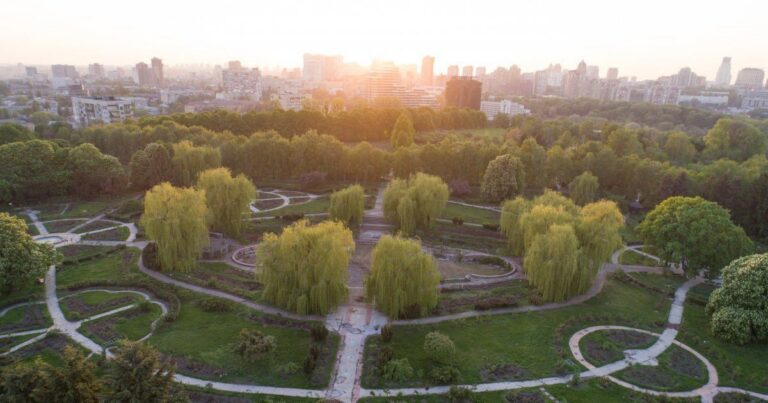 Київ на порозі небезпеки: нове похолодання несе з собою несподівані заморозки! Синоптики б’ють на сполох!