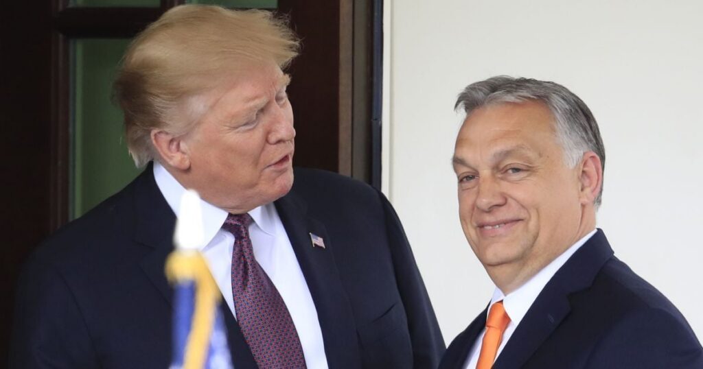 "Люблю Віктора": Трамп може втратити свого друга у Європі після виборів