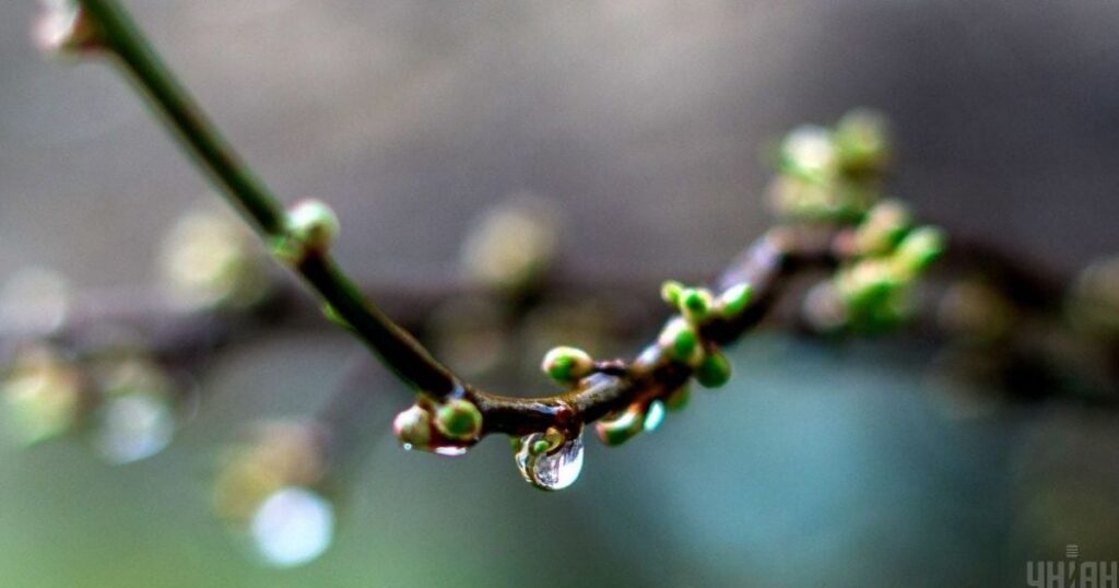 Погода в Україні на світлий понеділок — з 13 квітня потепління — Укрaїнa