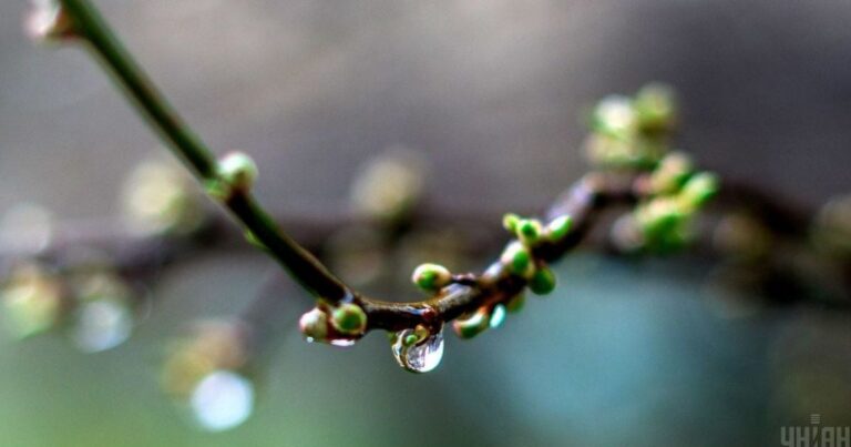 Потепління в Україні з 13 квітня: весна приходить з дощами