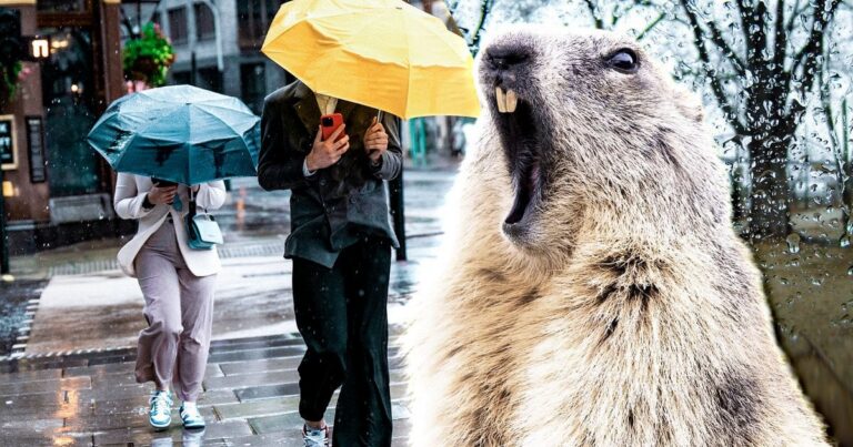 Негода в Україні: Буревій, Сніг та Хаос – Наслідки Стихії з Жовтим Рівнем Небезпеки