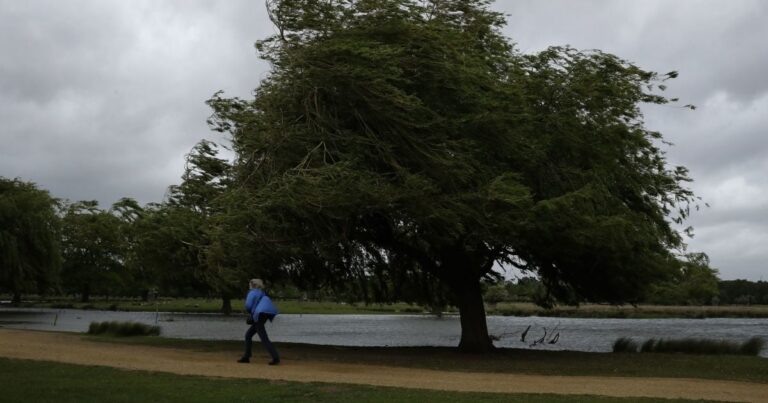 Незважаючи на весну, чекайте негоди: Україну накриє хвиля похолодання та сильних вітрів!