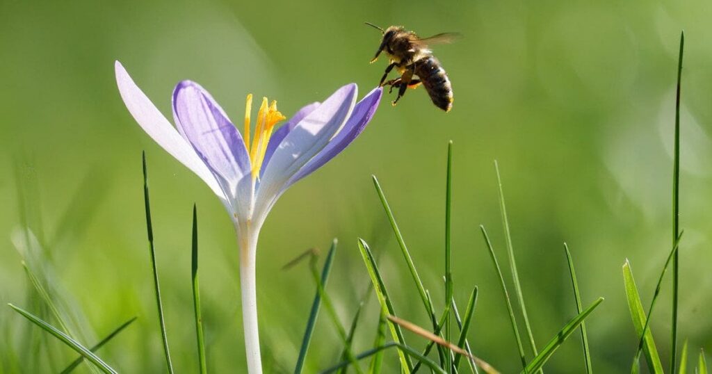 Прогноз погоди в Україні: синоптики розповіли де будуть дощі та у яких регіонах готуватися до підтоплення — Укрaїнa