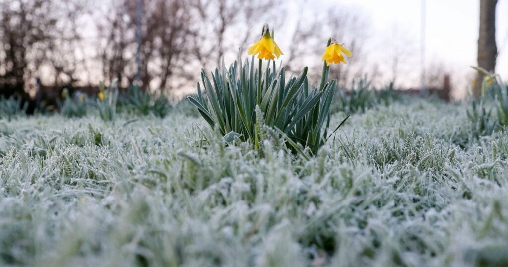 Погода в Україні: синоптики попереджають про сильні заморозки та дощі - детальний прогноз — Укрaїнa