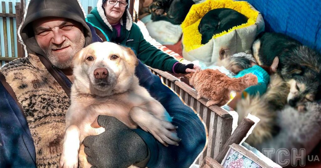 Годують понад сотню тварин: літнє подружжя, яке виїхало із пекла війни на Донбасі, потребує допомоги