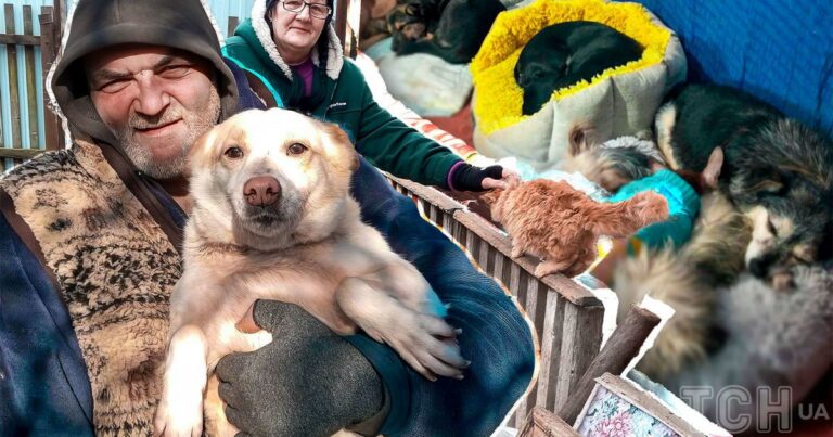 Подвійне випробування: родина зоозахисників, що втекла від війни, потребує допомоги для себе та понад сотні тварин