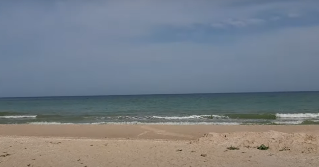 Вилов медуз в Азовському морі — росіяни готують небезечний експеримент — Укрaїнa