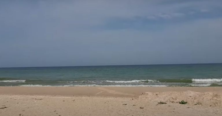 Небезпечний експеримент у Азовському морі: Росія планує вилов медуз заради колагену!