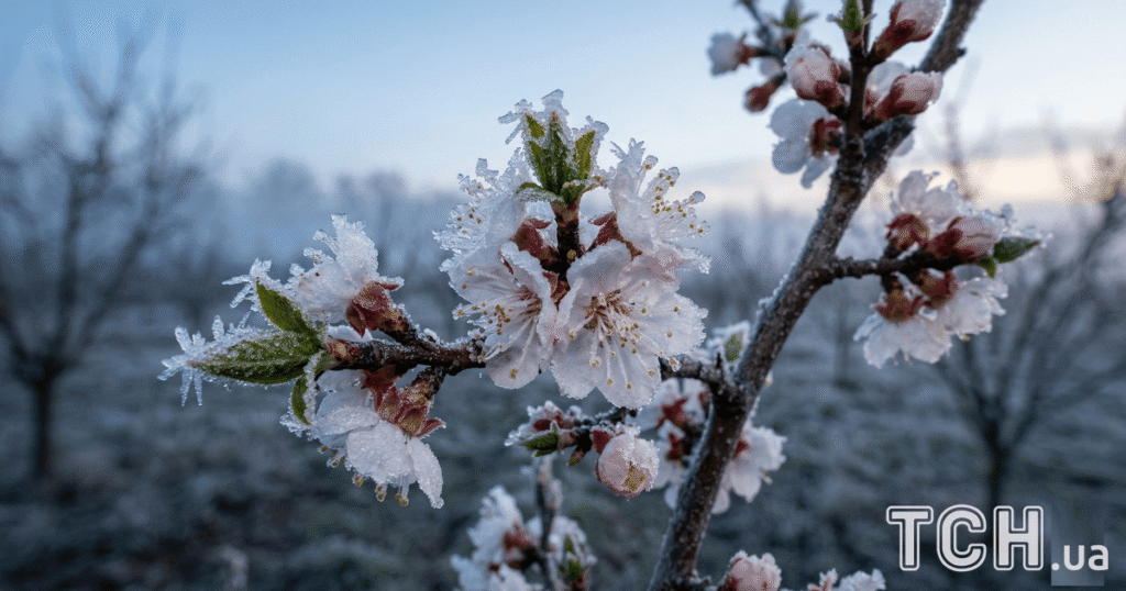 Погода в Україні — циклон принесе морози та сніг, коли прийде потепління — Укрaїнa