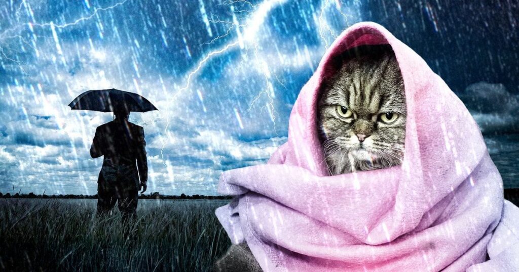 Погода в Україні 23 квітня — синоптикиня Наталка Діденко зробила прогноз — Укрaїнa