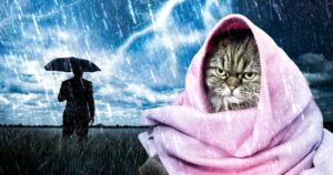 Увага, українці! 23 квітня: дощі, шквальний вітер та різке похолодання – прогноз Наталки Діденко