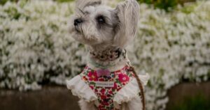 Не ховайте пуховики: до України суне хвиля арктичного холоду одразу після короткочасного потепління