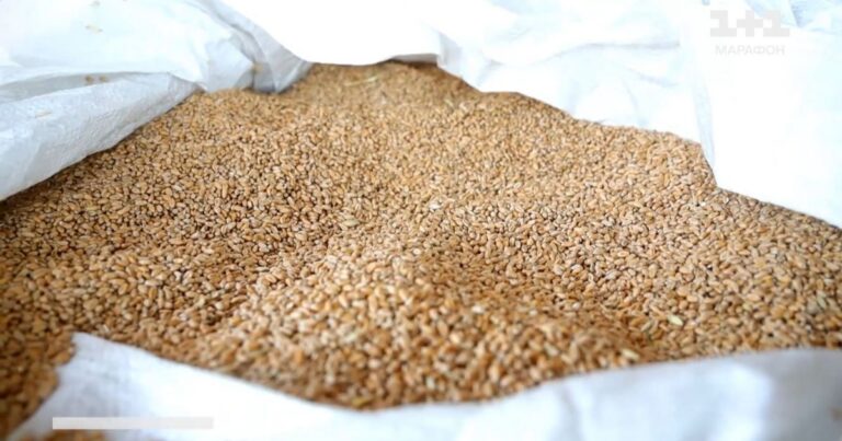 Українське Зерно в Ізраїлі: Загадковий Судновий Рейс та Відмова у Допомозі – Розбір Ситуації