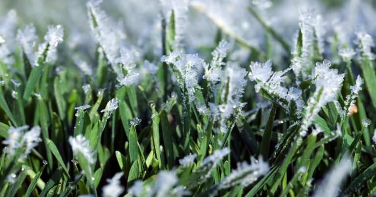 Україну Охопила Негода: Заморозки до -5°C та Штормовий Вітер 23 Квітня! Дізнайтесь, Де Чекати Неприємностей!