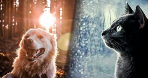 Несподіваний холод, штормовий вітер та заморозки: прогноз погоди на кінець квітня в Україні