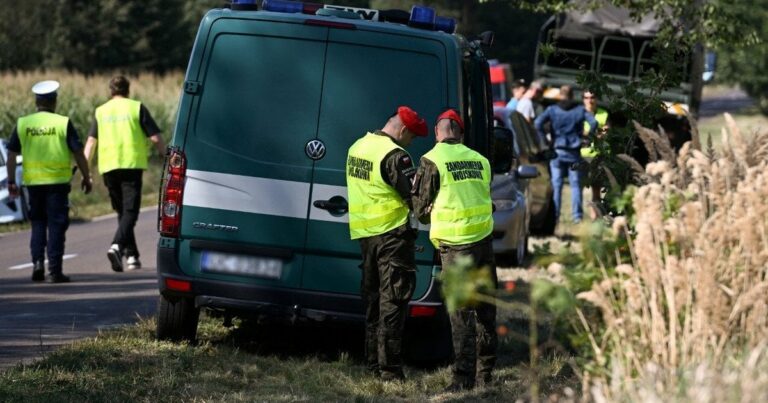 Знахідка у польському саду: фрагмент ракети пролежав понад пів року