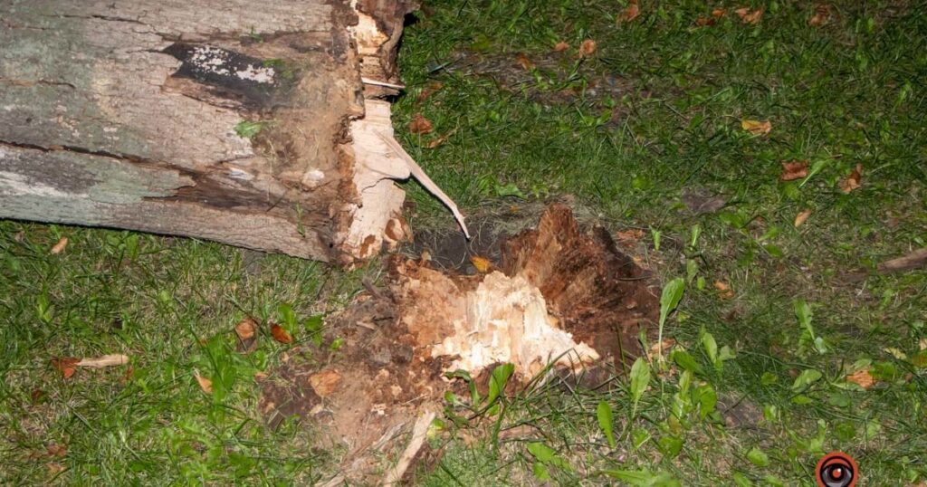 Хотів допомогти знайомому: на Тернопільщині через прикрий випадок загинув чоловік