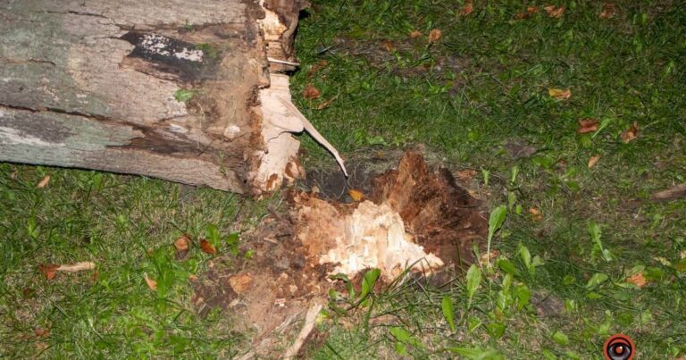 Жорстока гра долі: трагедія на Тернопільщині забрала життя молодого хлопця