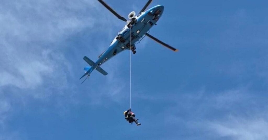 Туриста понад 100 разів ужалили бджоли: його евакуювали гелікоптером (фото) Туриста понад 100 разів ужалили бджоли: його евакуювали гелікоптером (фото)