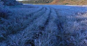 Україну накриває «зимова» стихія: потужні заморозки та сніг