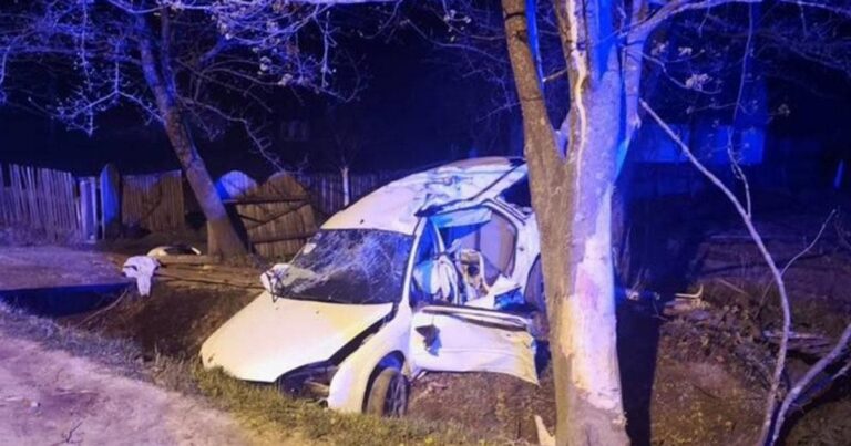 Жахлива трагедія на Житомирщині: п’яний водій влетів у дерево, забравши життя дитини