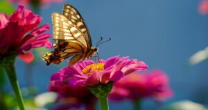 Якою буде погода у травні 2026 - прогноз синоптиків — Укрaїнa