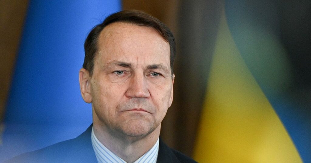 Вступ України до Євросоюзу - Сікорський зробив заяву, схожу до висловлювань Мадяра — Політика