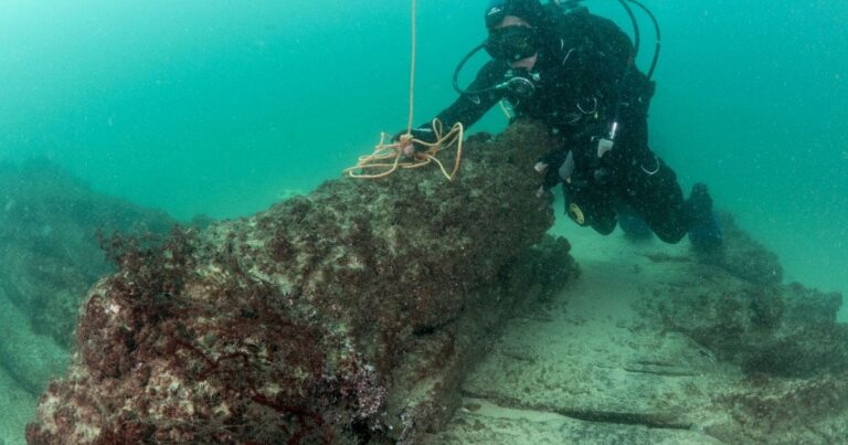 Затонулий Корабель Розкриває Тайни Римського Суднобудування: Як Археологи Знайшли “Молекулярний Відбиток” Минулого