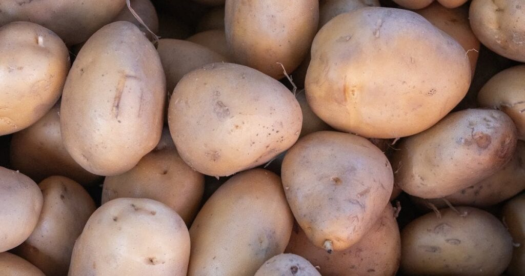 Відео з TikTok про забуту картоплю зібрало понад 13 млн переглядів — що сталося з овочами — Різне Відео з TikTok про забуту картоплю зібрало понад 13 млн переглядів — що сталося з овочами — Різне