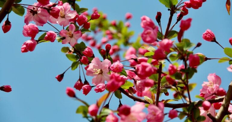 Весняне тепло повертається: прогноз погоди на сьогодні, 19 квітня, та нюанси, які варто знати!