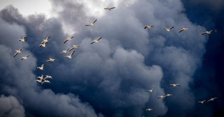 Дніпро під Вогнем: Місто Добами Відбивається від Безперервних Атак, Кількість Жертв Зростає