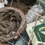 Пекельна Доба для Окупантів: ЗСУ Розгромили Артилерію Ворога та Скоротили Його Живу Силу!