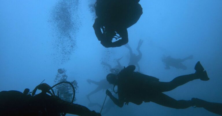 Затоплене місто Індії: Сенсаційна знахідка віком 9500 років, що розділила науковий світ