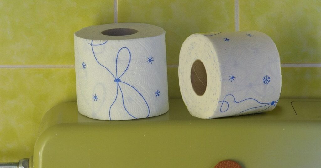 Чому у світі масово відмовляються від туалетного паперу: пояснення нового тренду