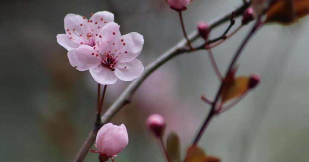 Потепління в Україні – яким буде прогноз погоди та температура по областях — Укрaїнa