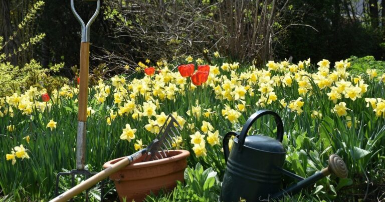 Травень 2026: Ваш Місячний Календар для Неймовірного Врожаю!