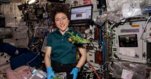 Зворушливе Возз’єднання: Астронавтка NASA Крістіна Кох та її вірний пес після польоту до Місяця