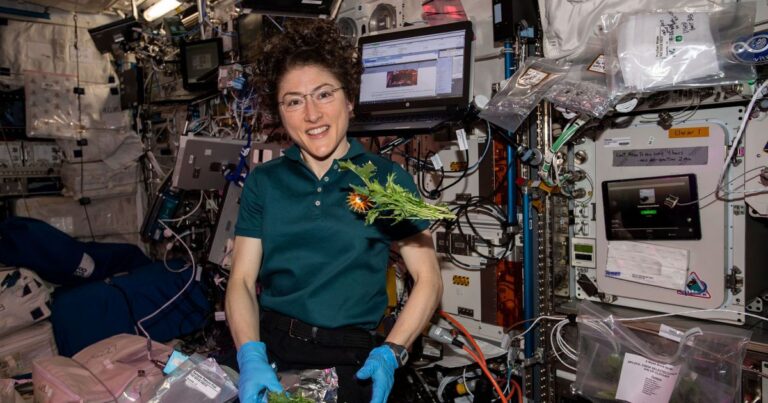 Зворушливе Возз’єднання: Астронавтка NASA Крістіна Кох та її вірний пес після польоту до Місяця