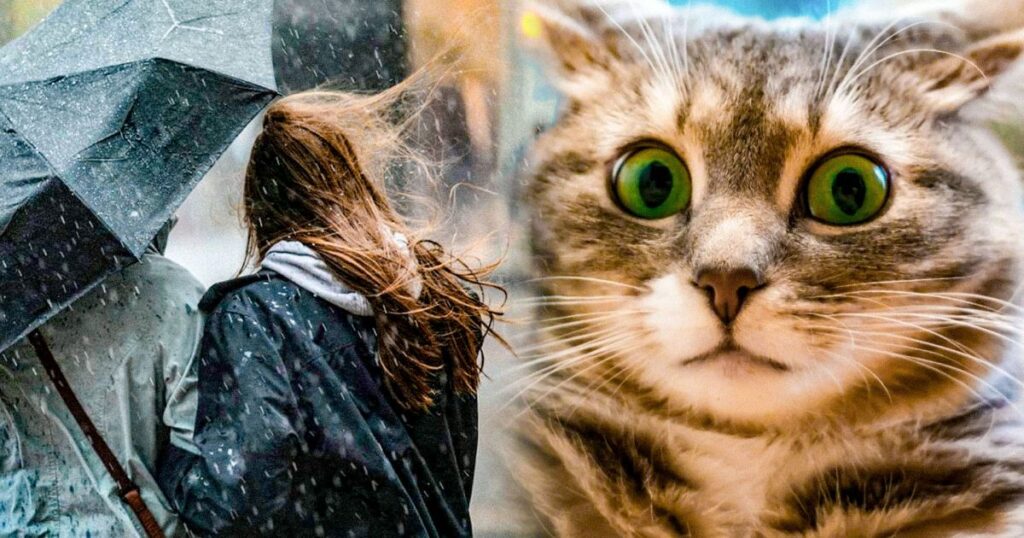 Українців попередили про небезпеку у низці міст та регіонів: синоптики розповіли, де вдарять стихія і заморозки