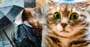 Українців попередили про небезпеку у низці міст та регіонів: синоптики розповіли, де вдарять стихія і заморозки