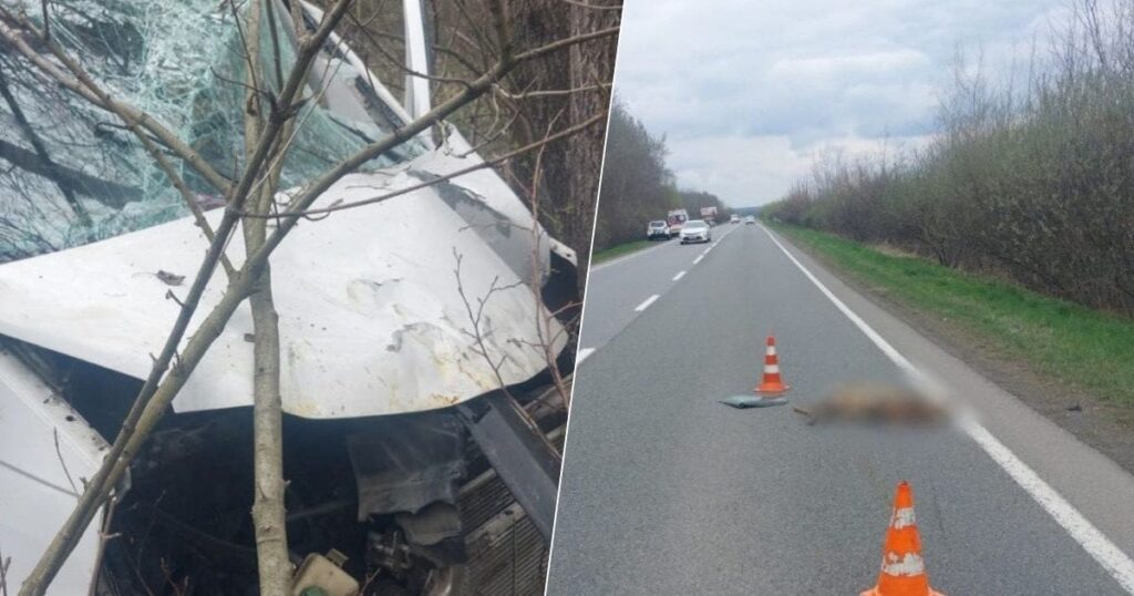 Смертельна ДТП на Коломийщині: водій загинув після наїзду на козулю Смертельна ДТП на Коломийщині: водій загинув після наїзду на козулю