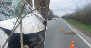 Смертельна ДТП на Коломийщині: водій загинув, збивши козулю