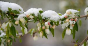 Якою буде погода на Великдень та коли повернеться тепло: прогноз до кінця тижня
