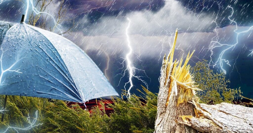 Знесена зупинка та заблоковані траси: на Вінниччину обрушився руйнівний буревій (фото, відео)