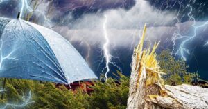 Руйнівний буревій на Вінниччині: знесені зупинки, заблоковані дороги та попередження від синоптиків